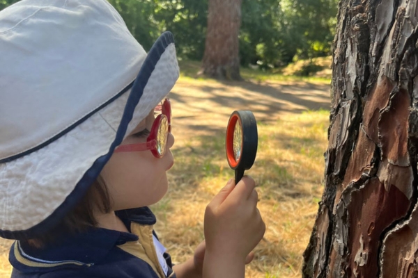 Early Childhood Education